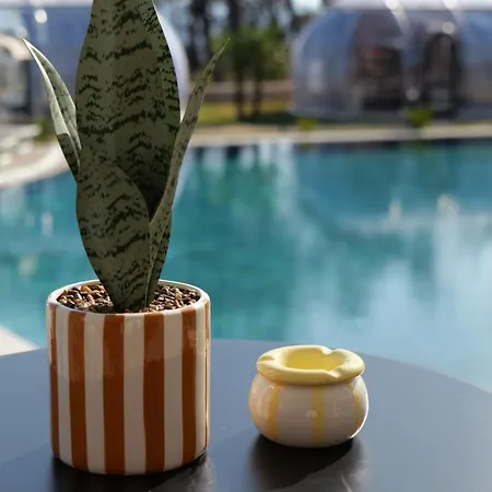 Piccolo Paradiso - Glamping * Shëngjin
